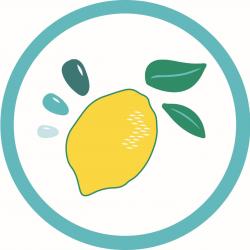 Magasin bébé Sorbet citron - 1 - Logo - 