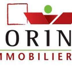 Agence immobilière SORIN IMMOBILIER - 1 - 