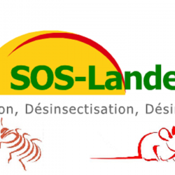 Désinsectisation et Dératisation Sos-landes3d - 1 - 