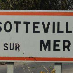 Activité pour enfant Sotteville Sur Mer - 1 - 