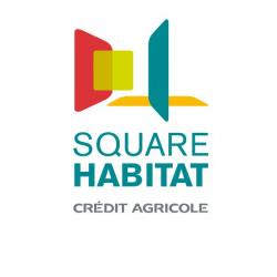 Agence immobilière Square habitat - DEVOUASSOUX IMMOBILIER - 1 - 