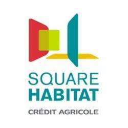Agence immobilière SQUARE HABITAT - 1 - 