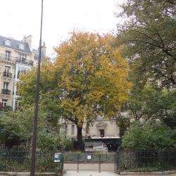 Square Paul Painlevé Paris