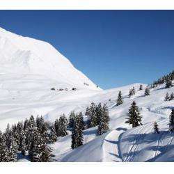 Station De Ski Auron Saint Dalmas Le Selvage
