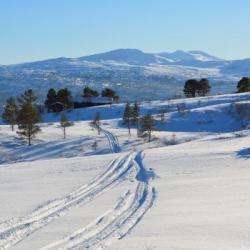 Parcs et Activités de loisirs Station de Ski Nordique Mijanes - 1 - 