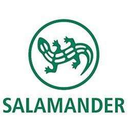 Stock Salamander Paris