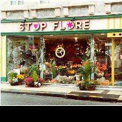 Stop Flore Lillebonne
