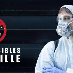 Désinsectisation et Dératisation Stop Nuisibles Marseille - 1 - Stop Nuisibles Marseille - 