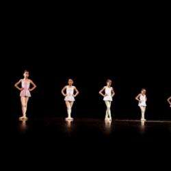 Ecole de Danse STUDIO CONTIGUS - 1 - 