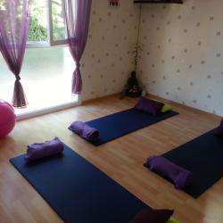 Studio De Yoga Zenattitude Olemps