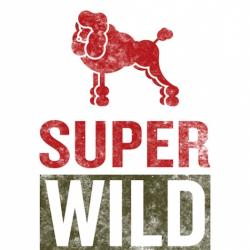 Super Wild Coffee - Hall B Blagnac