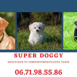 Superdoggy Blois