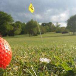 Golf Swin Club Des Grees - 1 - Challenge, Nature Et Bonne Humeur Au Swin-golf De Rougé - 