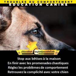 Sylvain Lemoussu - Coaching Dog Pierreville