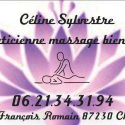 Massage Sylvestre Céline - 1 - 