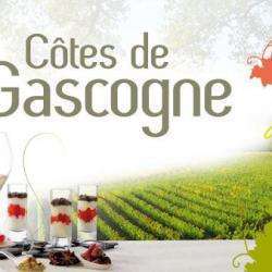 Producteur Syndicat des Vins Côtes de Gascogne - 1 - 