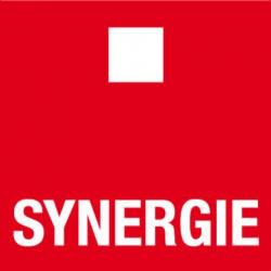 Synergie Monistrol Sur Loire