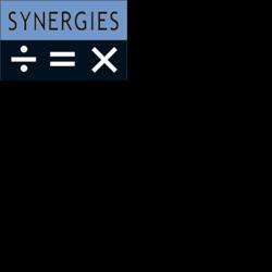 Synergies Maintenance Informatique Paris
