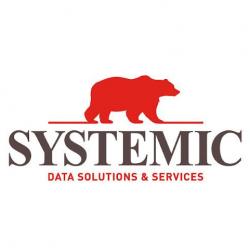 Commerce Informatique et télécom Systemic L'analyse - 1 - 