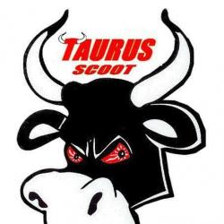 Taurus Scoot L'isle Sur La Sorgue