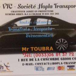 Taxi Taxi Colmar Gare Sncf Hopla Transport Vtc - 1 - 