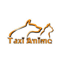 Taxi Taxi Animo - 1 - 