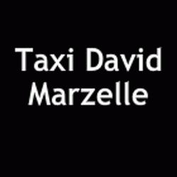Taxi David Marzelle Le Fleix