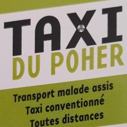 Taxi Taxi du Poher-Plounévézel - 1 - 