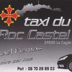 Taxi TAXI DU ROC CASTEL - 1 - 