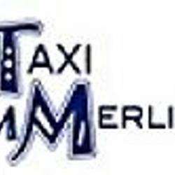 Taxi M. Merlin Calais