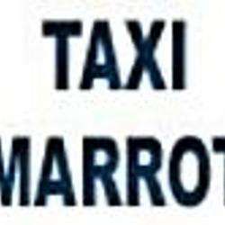 Taxi Taxi Marrot Frédéric - 1 - 
