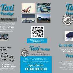 Taxi Prestige Jassans Riottier