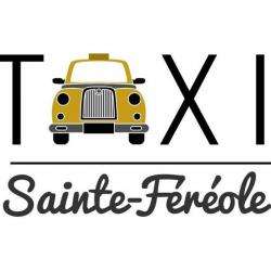 Taxi Taxi Sainte-féréole - 1 - 