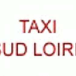 Taxi Taxi Sud Loire - 1 - 