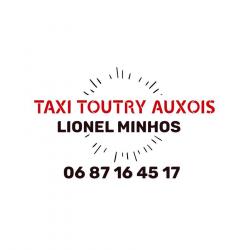 Taxi Taxi Toutry Auxois Lionel Minhos - 1 - 