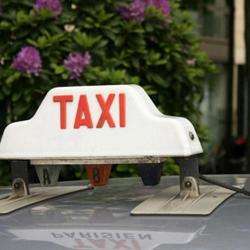 Taxi Taxis Castel Les Bains - 1 - 
