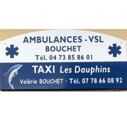 Taxis Les Dauphins Valérie Bouchet Saint Gervais D'auvergne