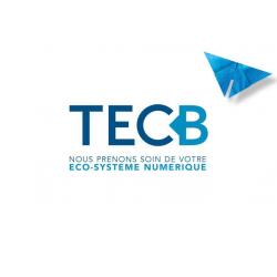 Commerce Informatique et télécom TECB - 1 - 