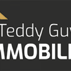 Teddy Guyon Immobilier Angers