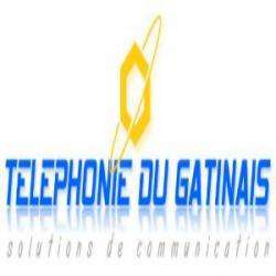 Commerce Informatique et télécom Téléphonie du Gatinais - 1 - 