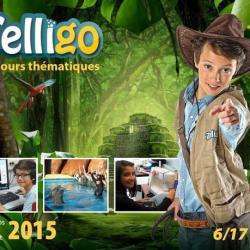 Activité pour enfant Telligo  - 1 - Telligo - Séjours Thématiques été 2015 - 