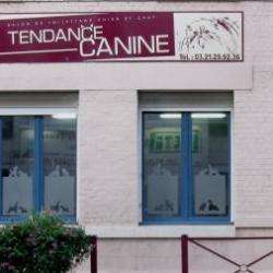 Tendance Canine Aix Noulette