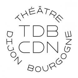 Théâtre et salle de spectacle Théâtre Dijon Bourgogne - 1 - 