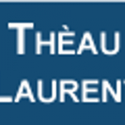 Centres commerciaux et grands magasins THEAU Laurent - 1 - 