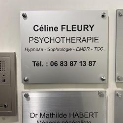 Psy Thérapeute HYPNOSE EMDR Céline Fleury 77 - 1 - 