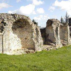 Site touristique thermes romains de St Saloine - 1 - 