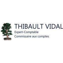 Comptable Thibault Vidal - 1 - Logo Thibault Vidal - Expert Comptable Biscarrosse - 