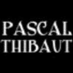 Dépannage Electroménager Thibaut Pascal - 1 - 