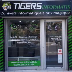 Tigers Informatik Carcassonne