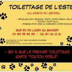 Salon de toilettage TOILETTAGE DE L'ESTEREL - 1 - 